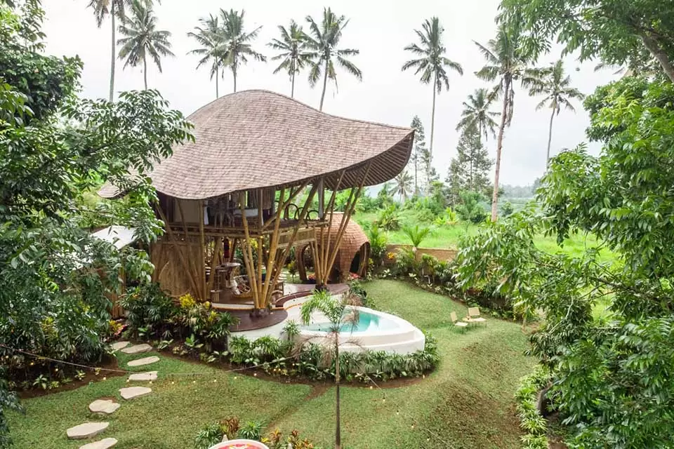 Magic hills bamboo bali 7 Magic hills bamboo bali 7